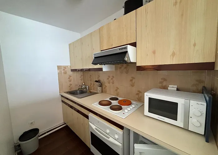 Spacieux Avec Balcon, Vue Mer, D'olonne - Fr-1-197-618 لي سابلِ دولونْ