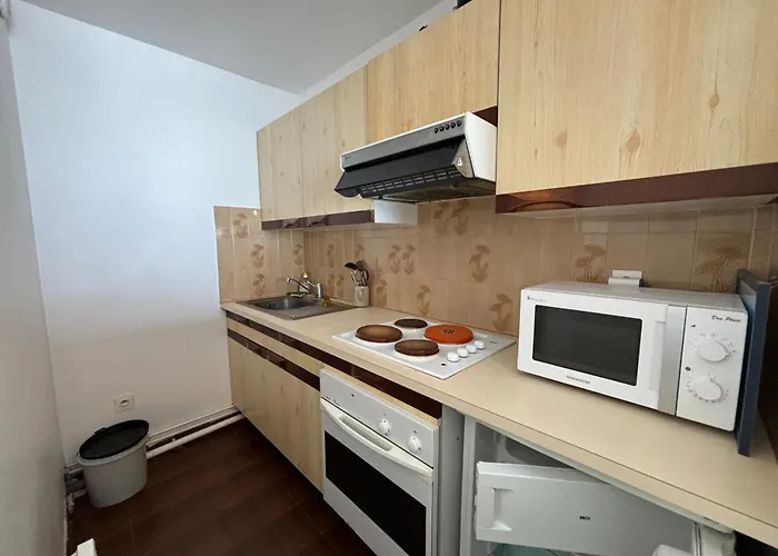 Spacieux Avec Balcon, Vue Mer, D'olonne - Fr-1-197-618